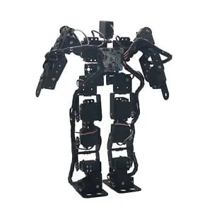 17 DOF Bipedal Humanoid Robot