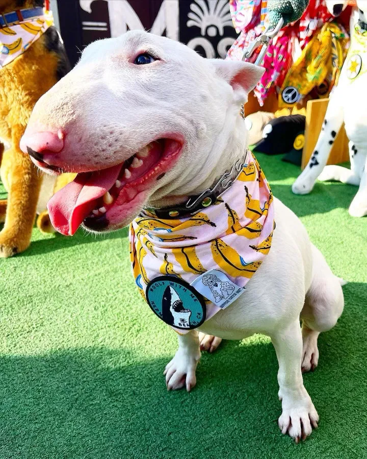 Dog Bandana Bananas - Customize with Interchangeable Velcro Patches