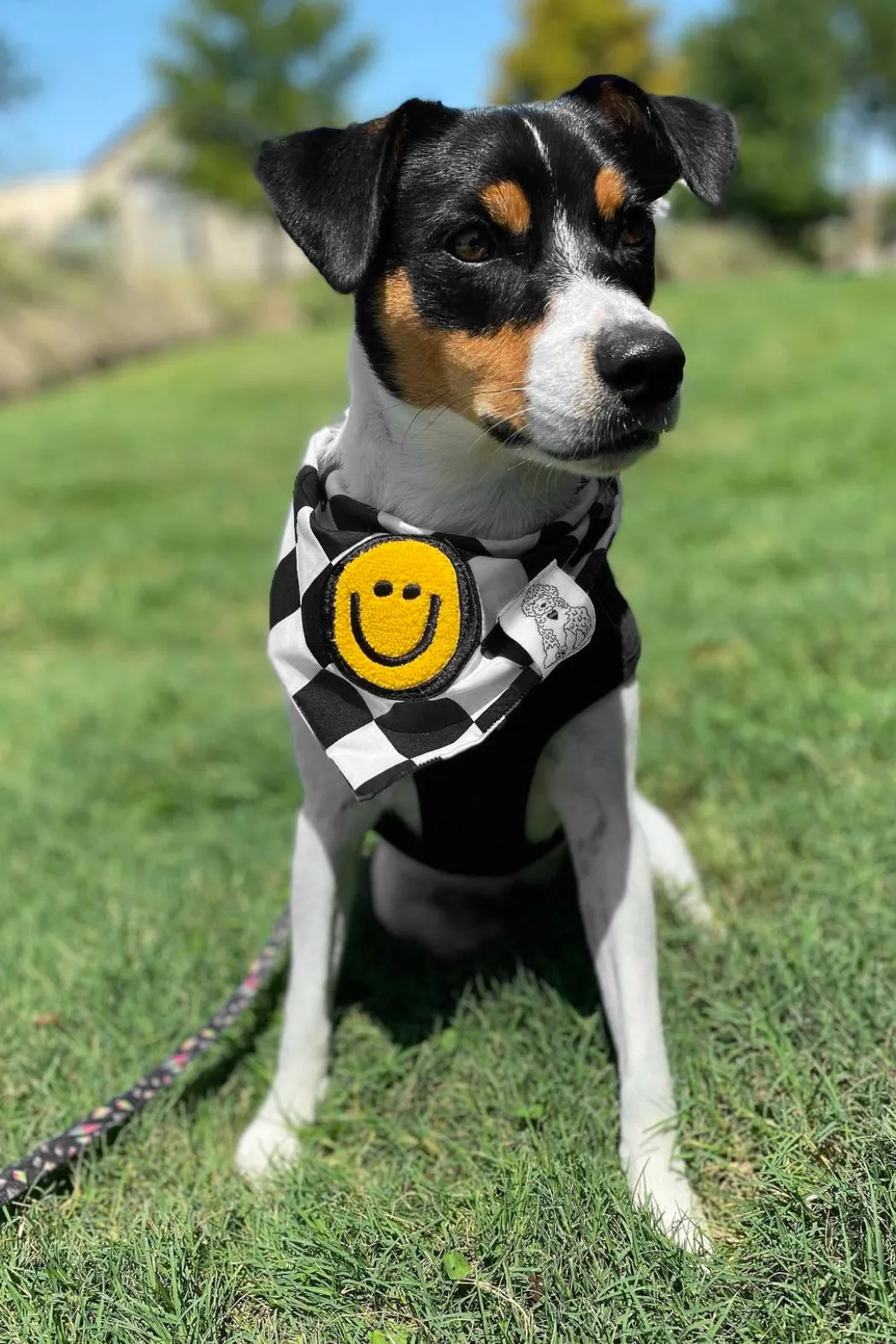 ★Dog Bandana Checkered Print - Customize with Interchangeable Velcro Patches