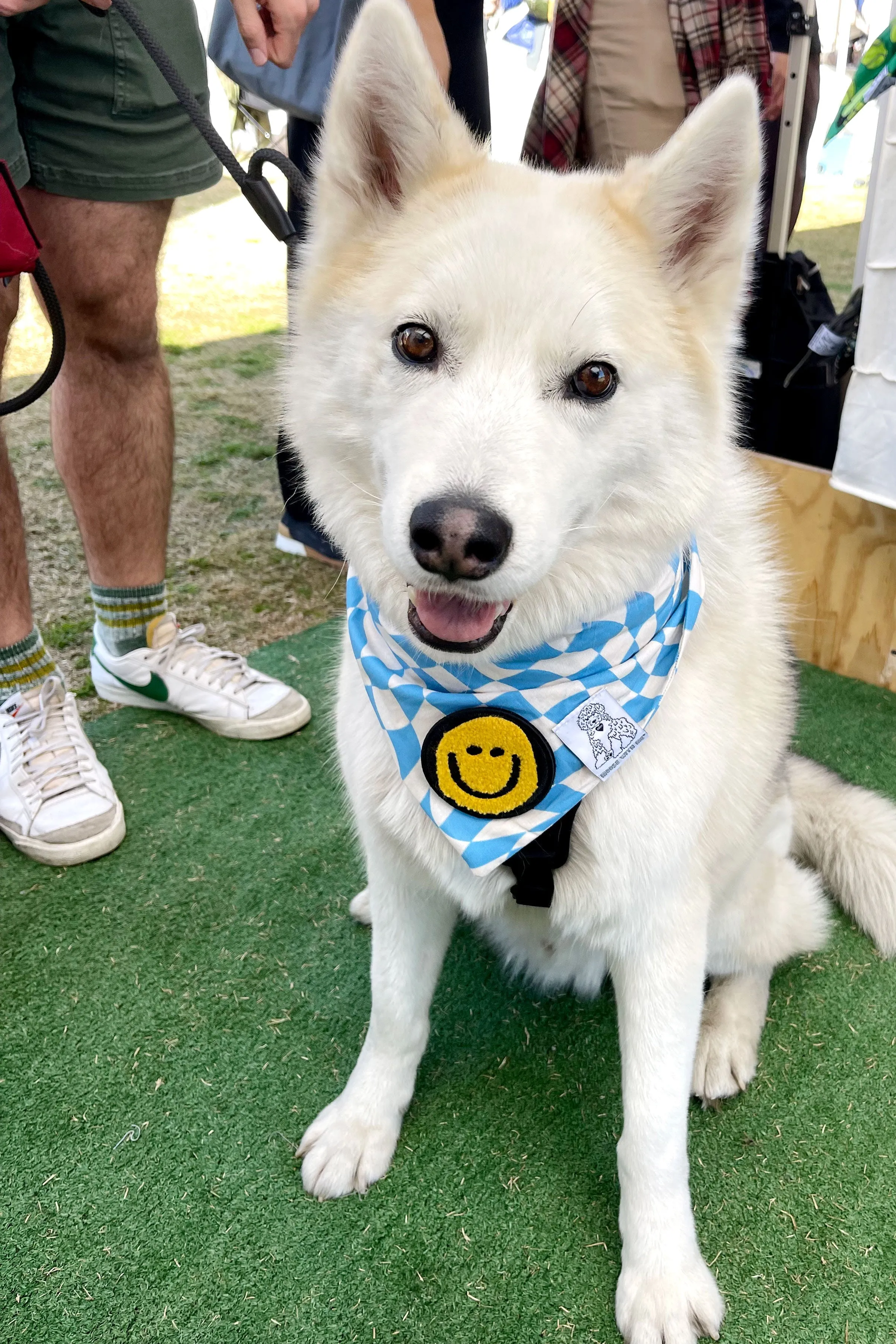 ★Dog Bandana Checkered Swirl - Customize with Interchangeable Velcro Patches