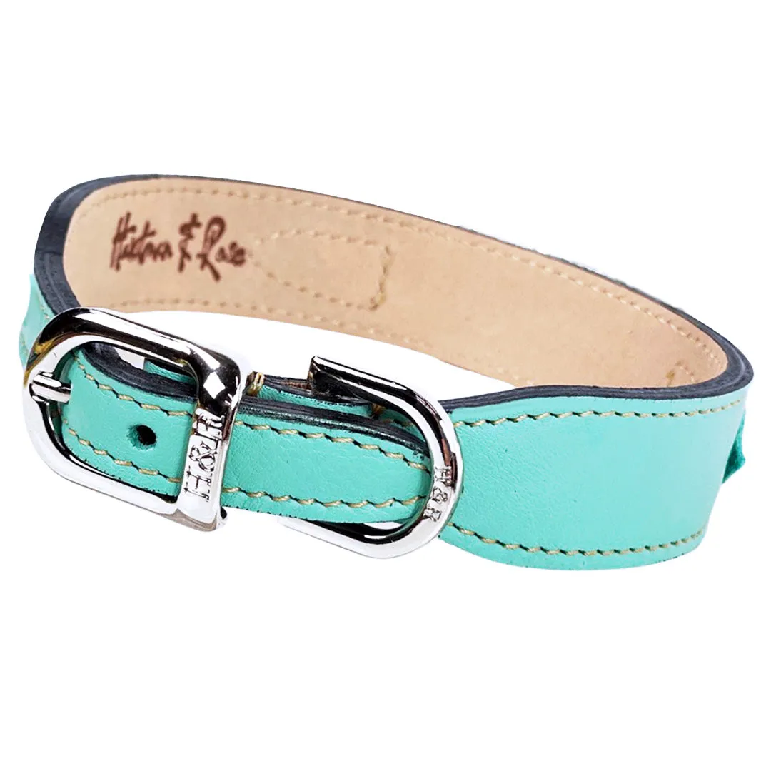 Georgia Rose Dog Collar in Turquoise & Nickel