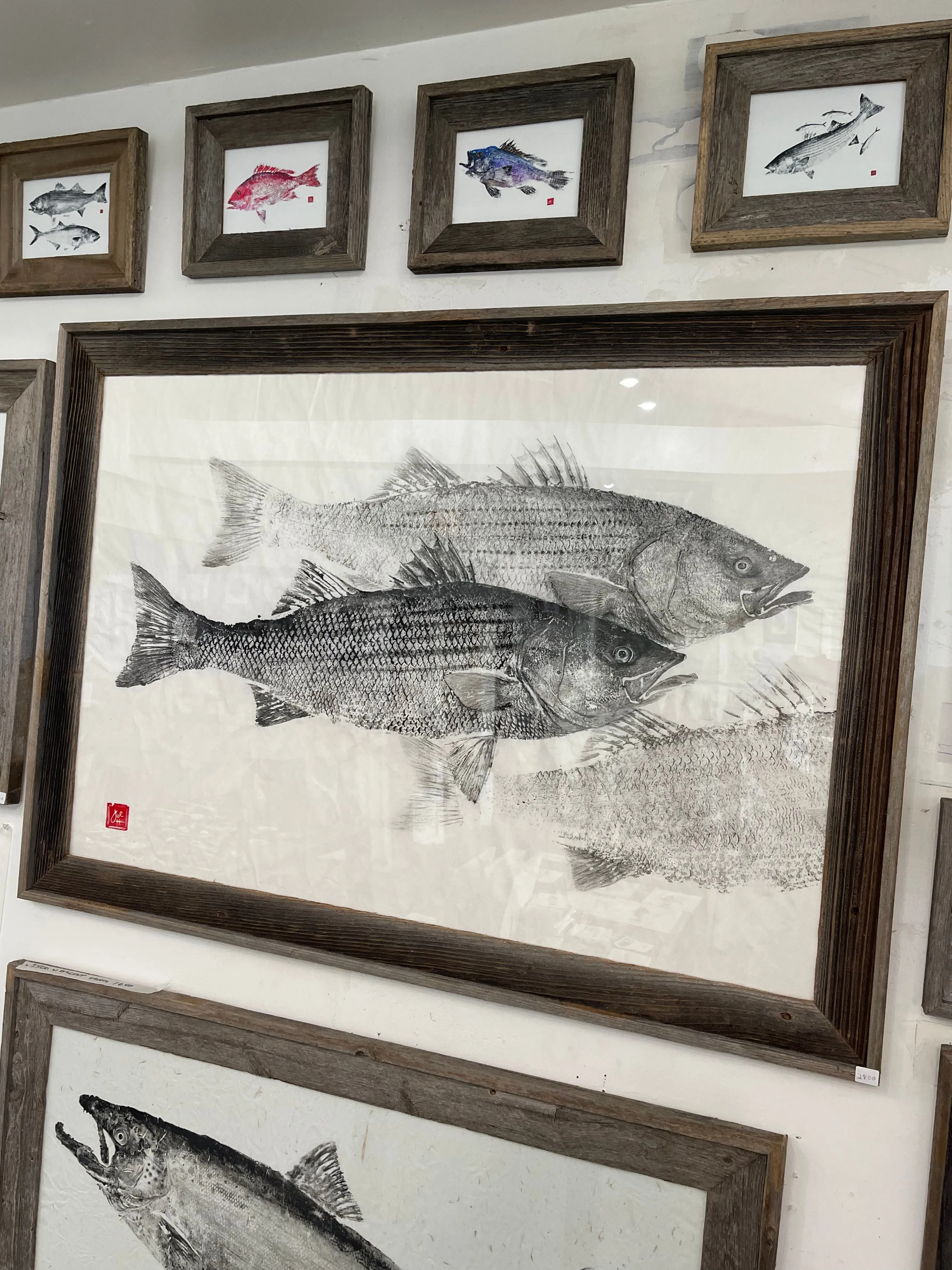 Striped Bass Slotfish Original