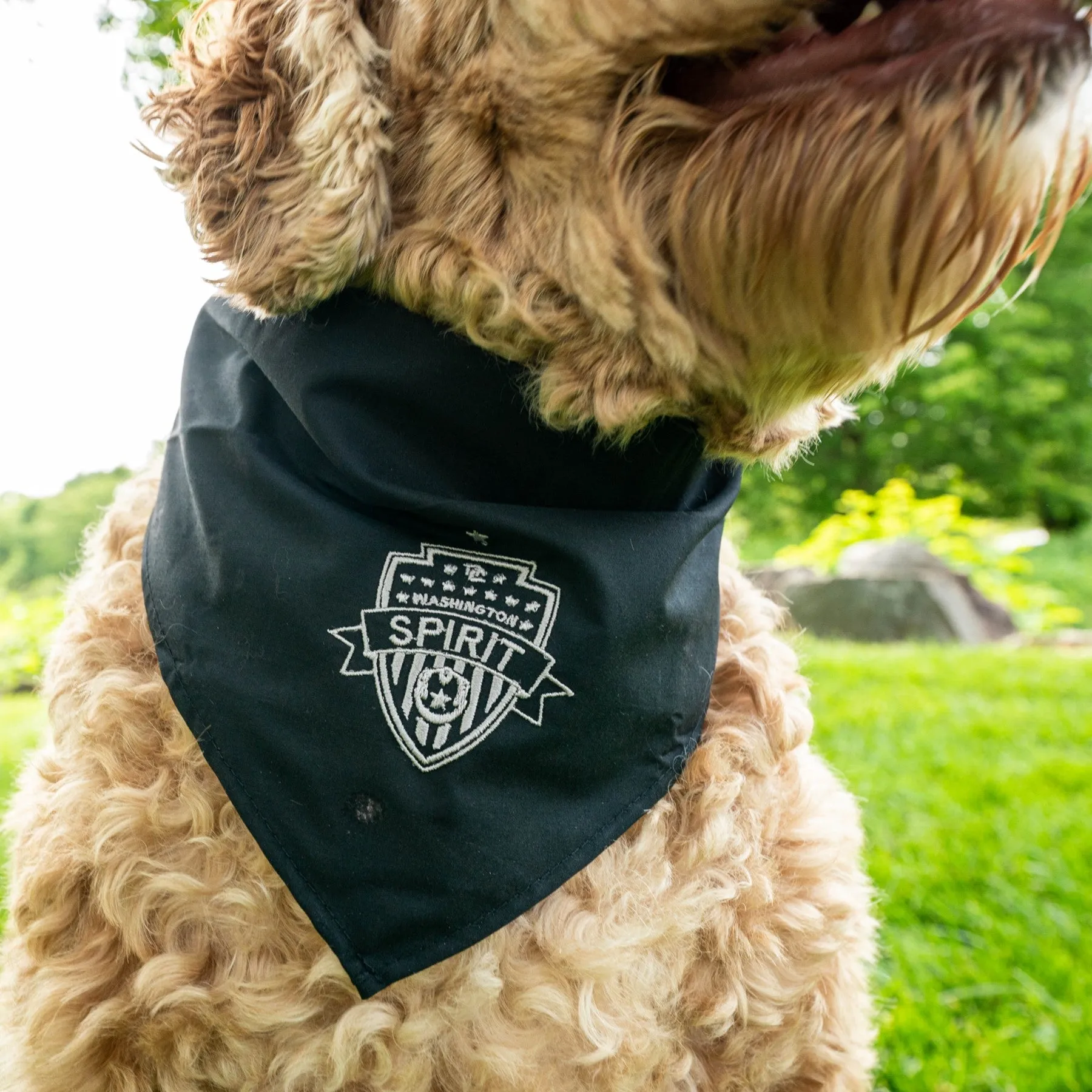 Washington Spirit Pets Collection - Dog Bandana